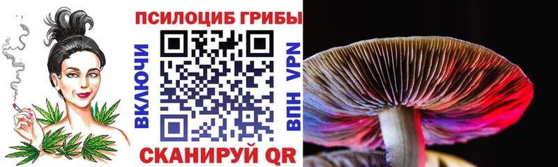Псилоцибиновые грибы GOLDEN TEACHER Артёмовск